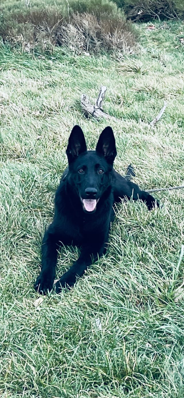 WhatsApp Imvztage 2026-02-20 at 09.43.34.jpeg